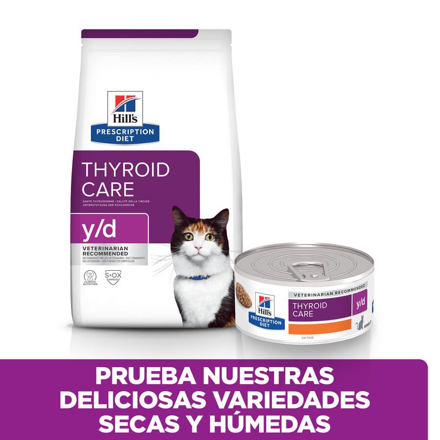 156 g Hill's Prescription Diet Thyroid Care y/d Pollo lata para gatos, , large Imagen numero 5